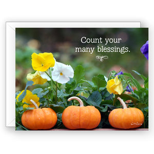 Baby Pumpkin Trio - Encouragement Card