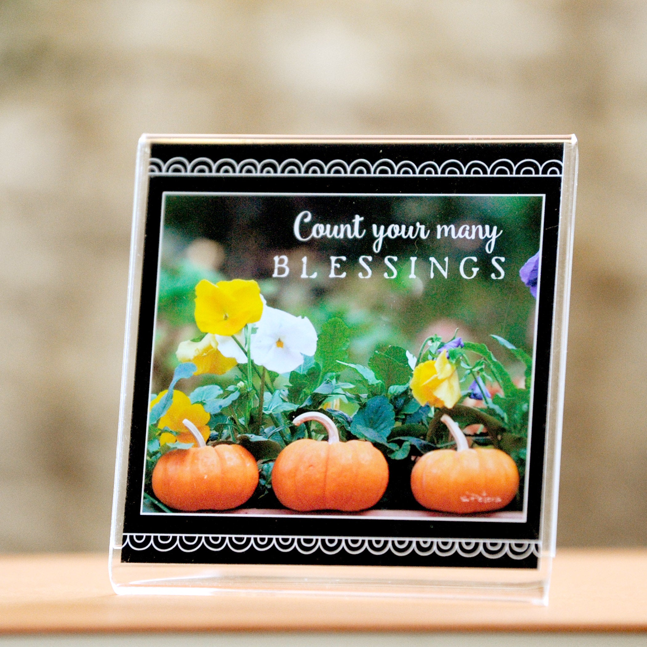 Baby Pumpkin Trio - Framed Mini Print