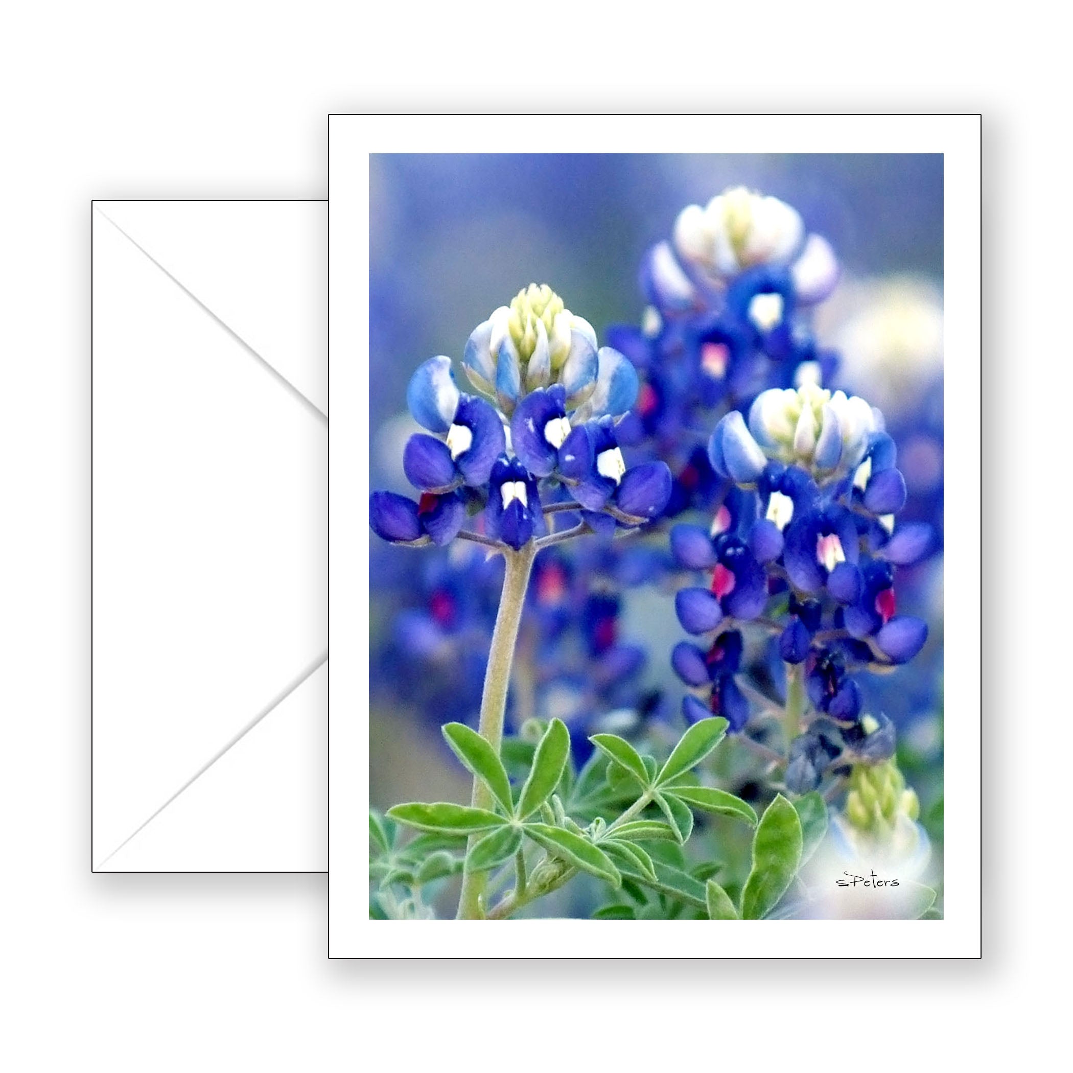 Boldly Blue - Blank Art Card