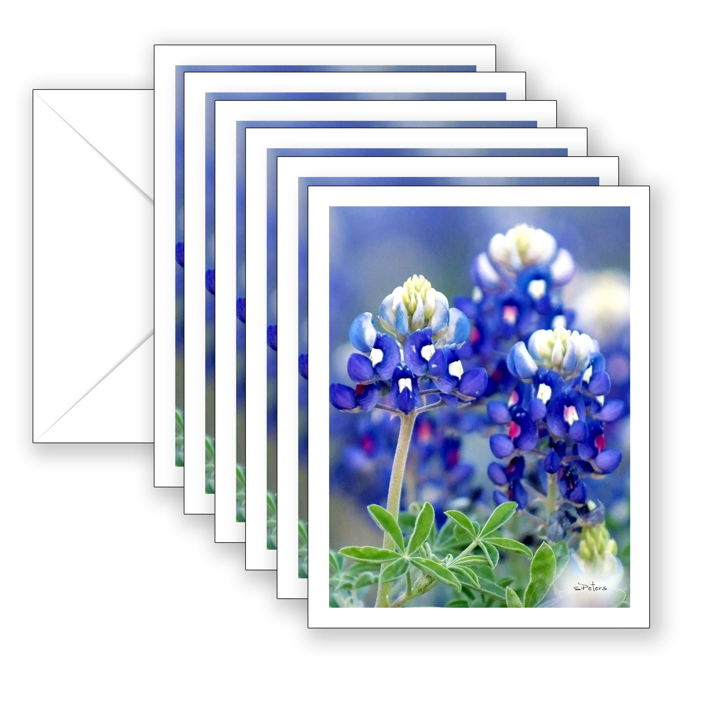 Boldly Blue Boxed Notecard Collection