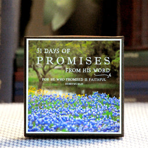 31 Days of Promises Boxed Mini Print Collection