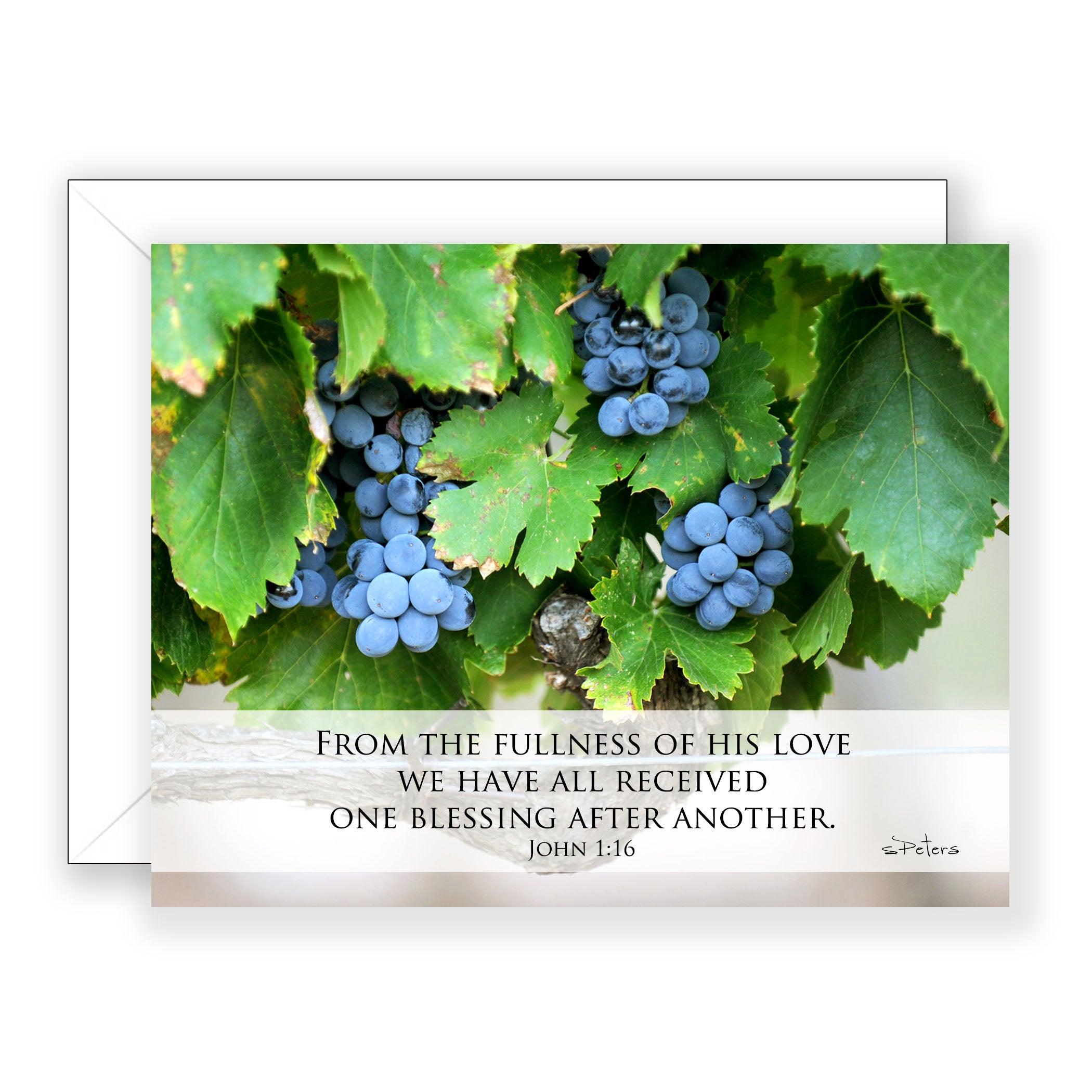 Chateau Harvest (John 1:16) - Encouragement Card (Blank)