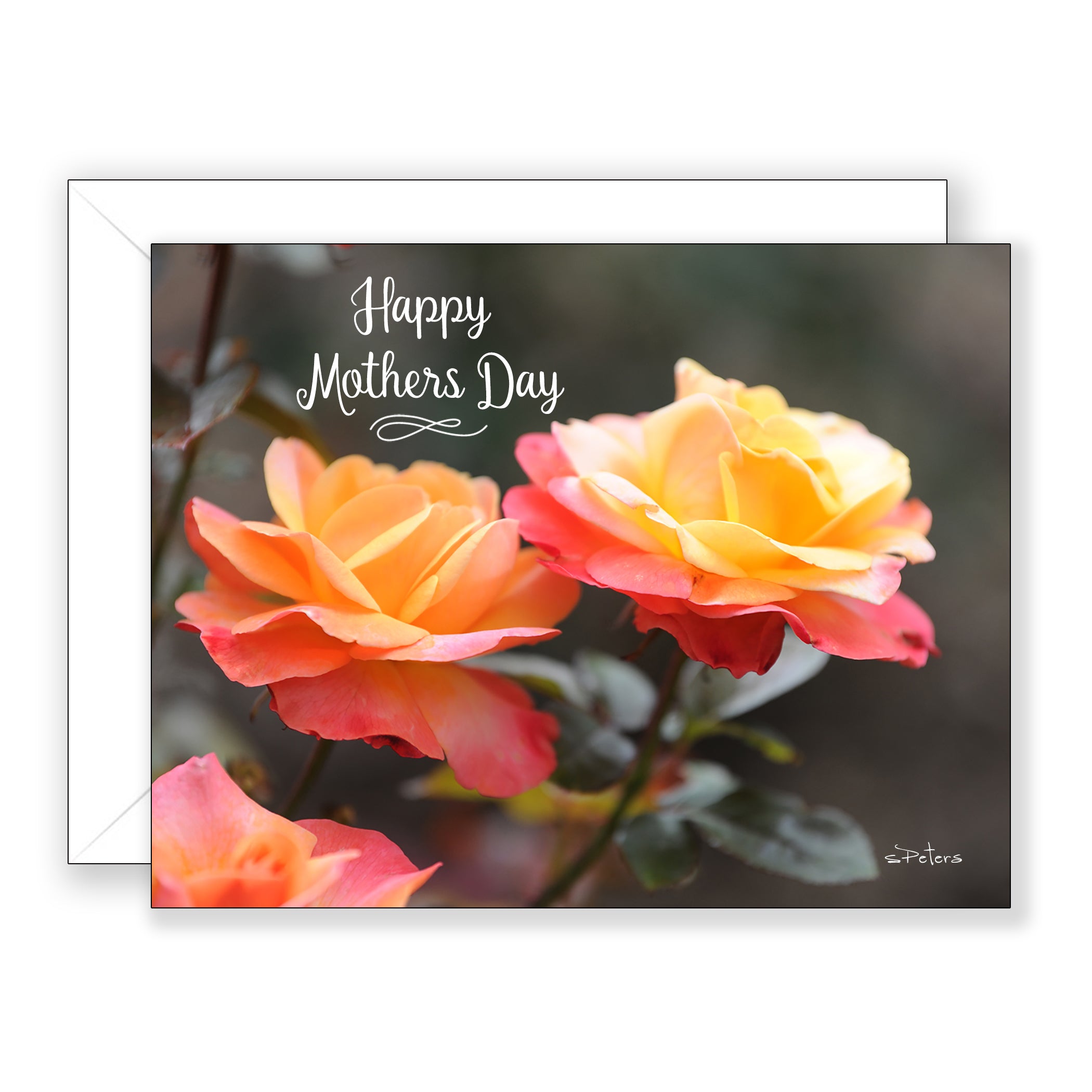 Chelsea Roses - Mother's Day Card