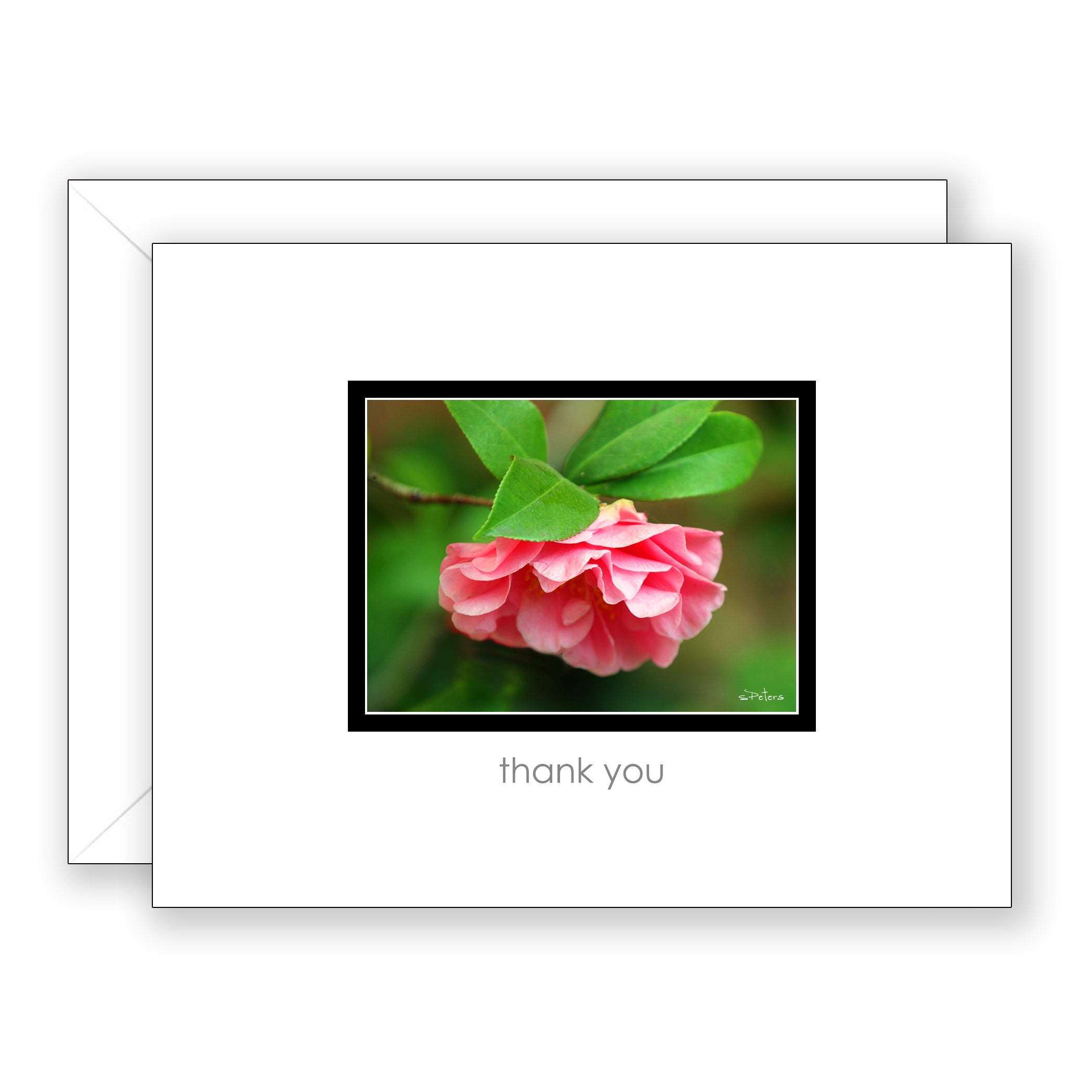 Coral Camellia - Thank You Card