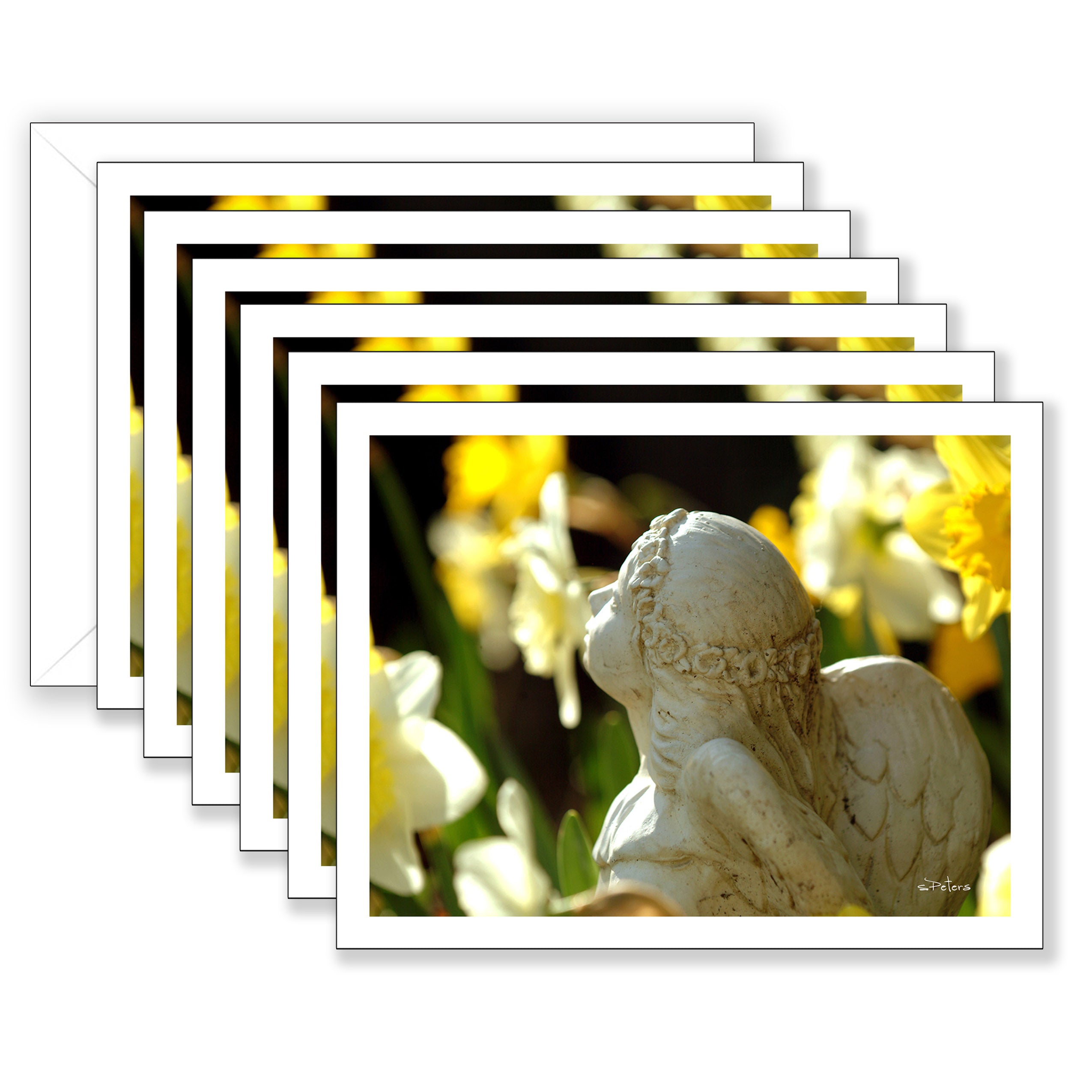 Daffodil Angel Boxed Notecard Collection