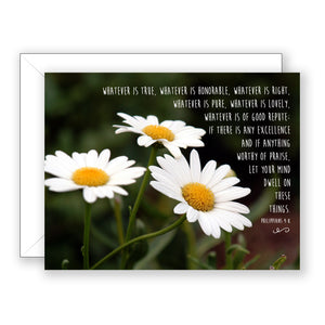 Daisy Trio (Philippians 4:8) - Encouragement Card (Blank)