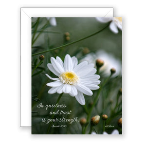 Daisy at Mission Ranch (Isaiah 30:15) - Sympathy Card