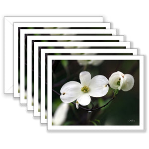 Delightful Dogwood Boxed Notecard Collection