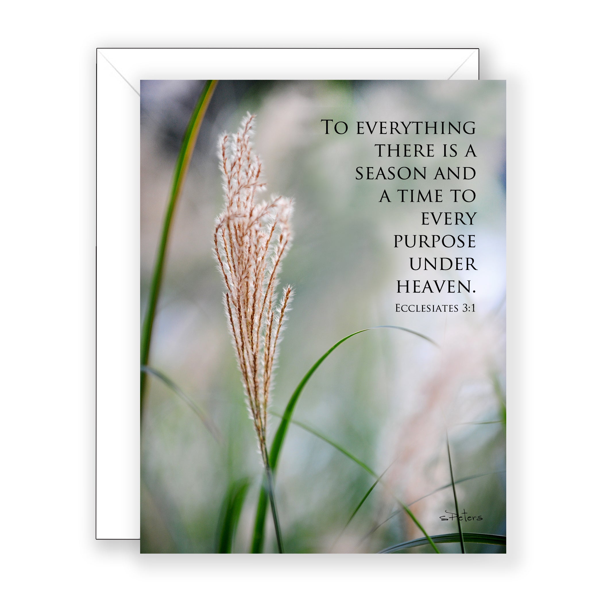 Earthly Blessing (Ecclesiastes 3:1) - Encouragement Card (Blank)