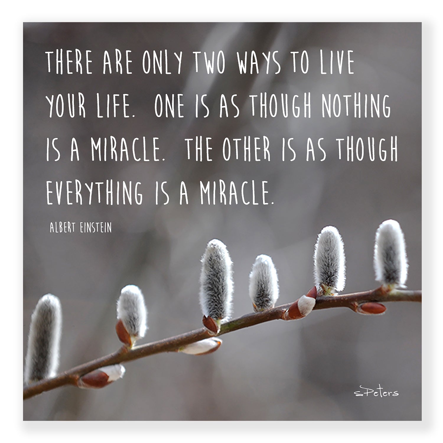 Everyday Miracle - Frameable Print