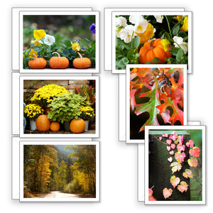 Fall Favorites Boxed Notecard Collection
