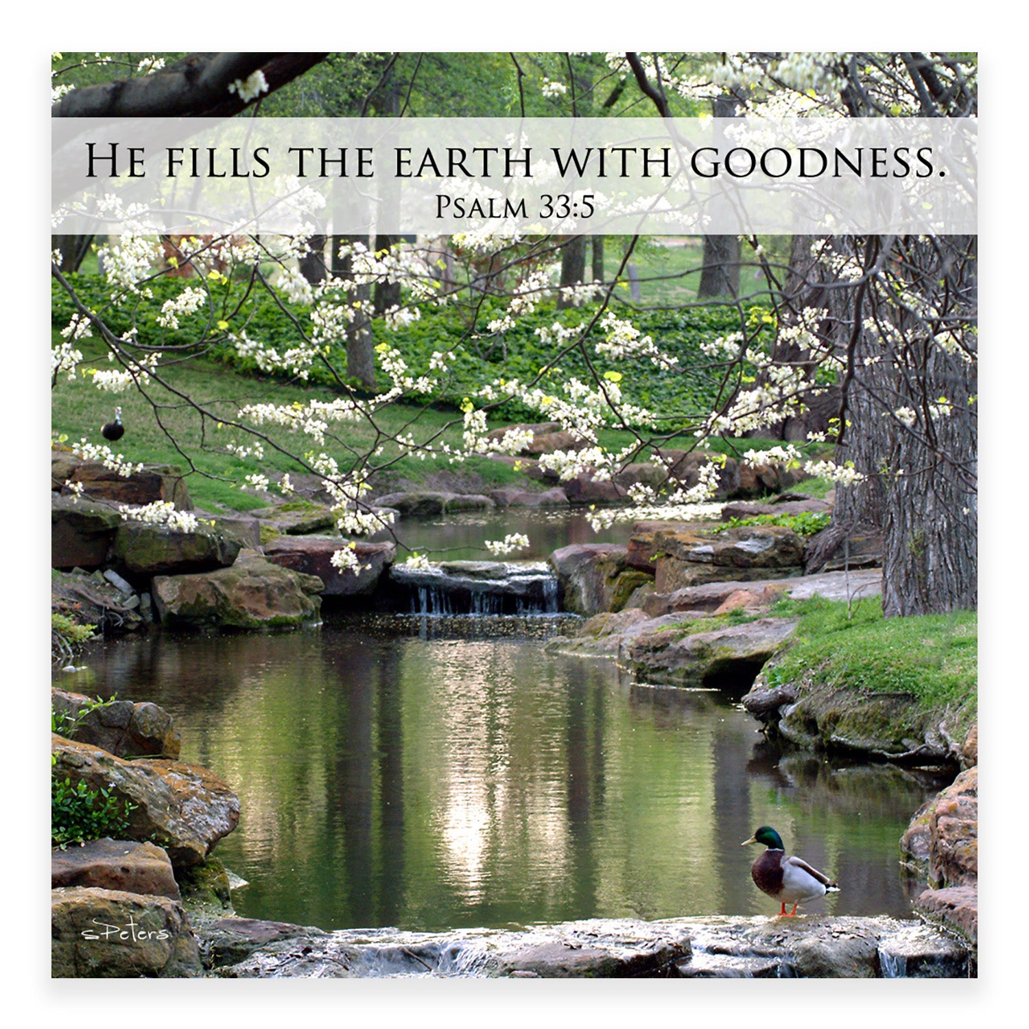 Peaceful Pond (Psalm 33:5) - Mini Print