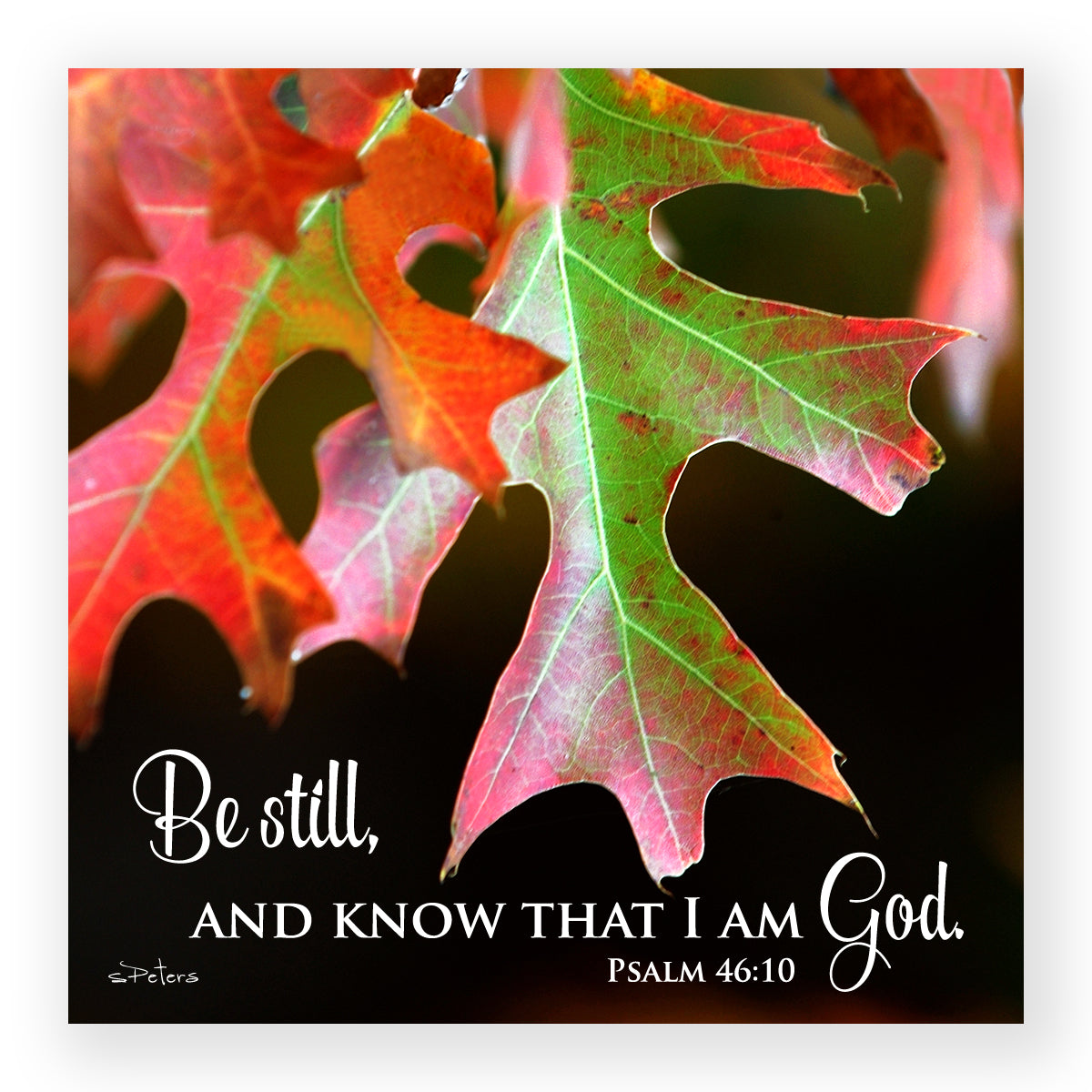 Oak Leaf in Autumn (Psalm 46:10) - Mini Print