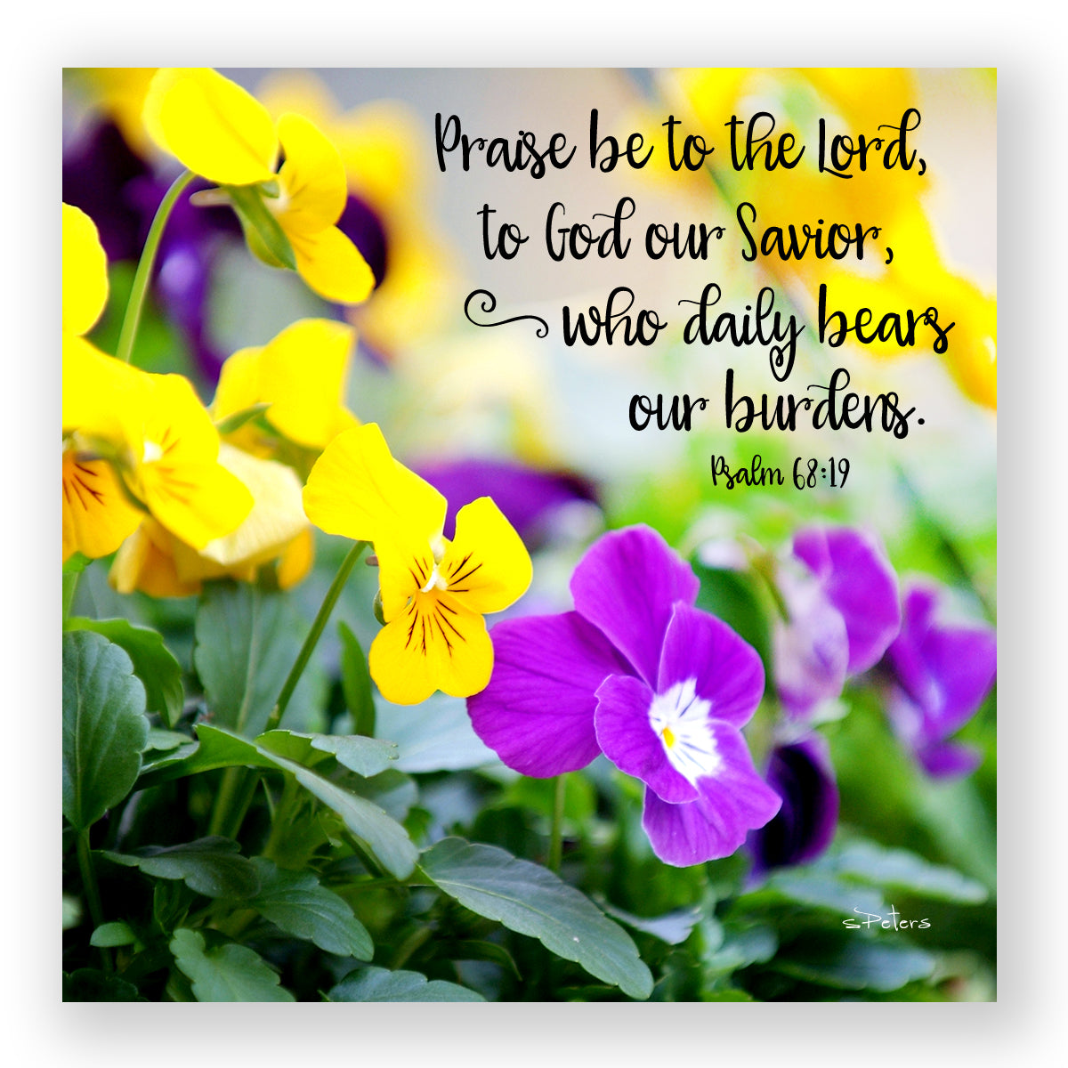 Peace and Pansies (Psalm 68:19) - Mini Print