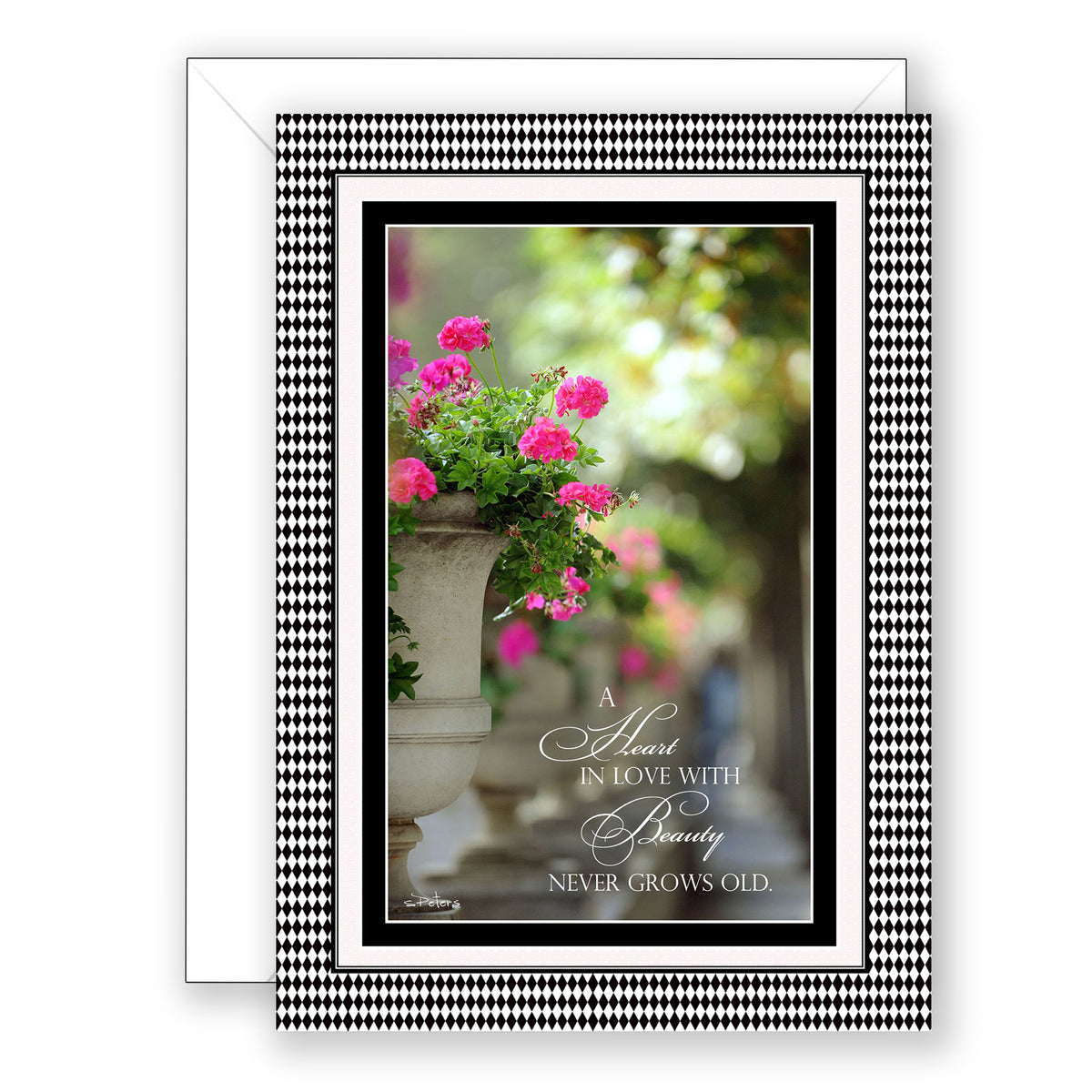 French Geraniums - Birthday Card – Bradbury Lane