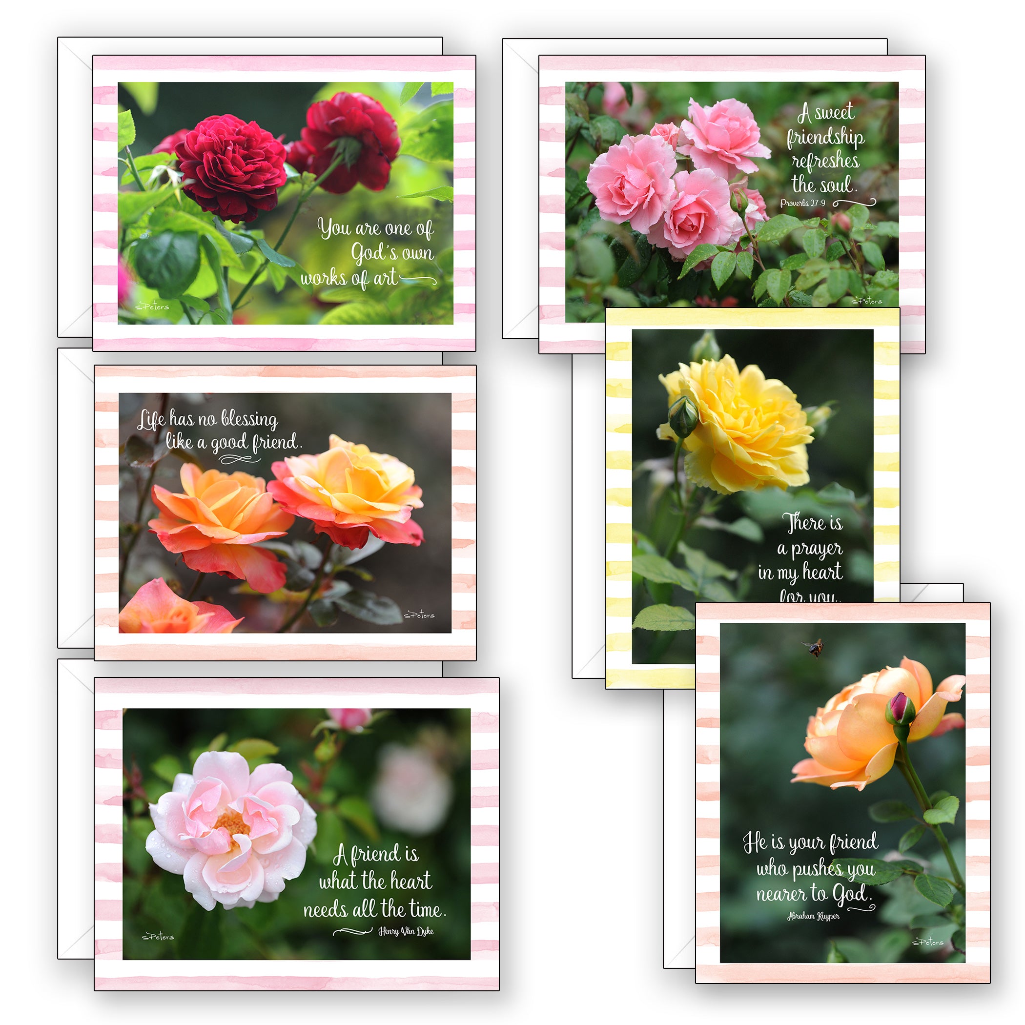 Friendship Roses Boxed Notecard Collection