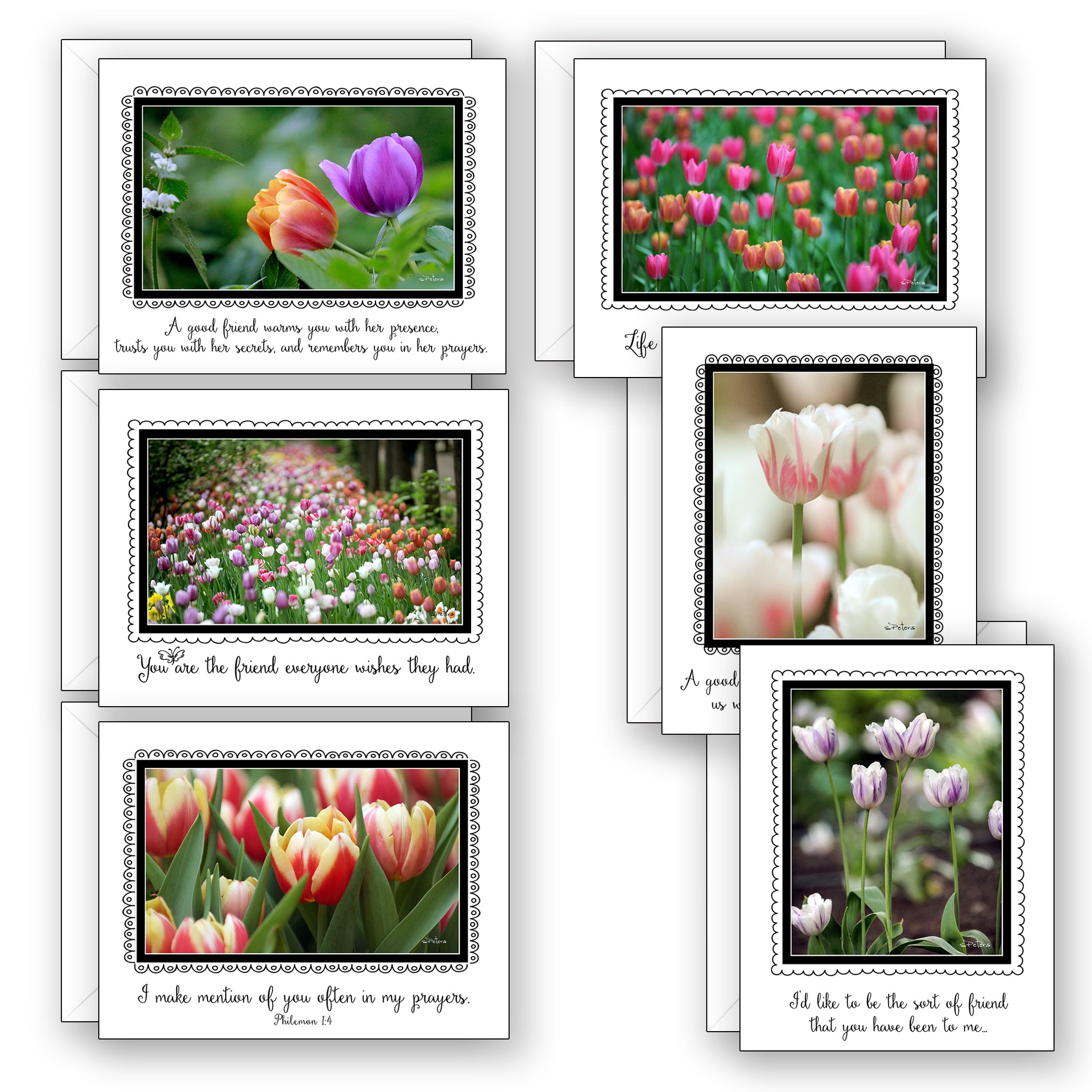 Friendship Tulips Boxed Notecard Collection