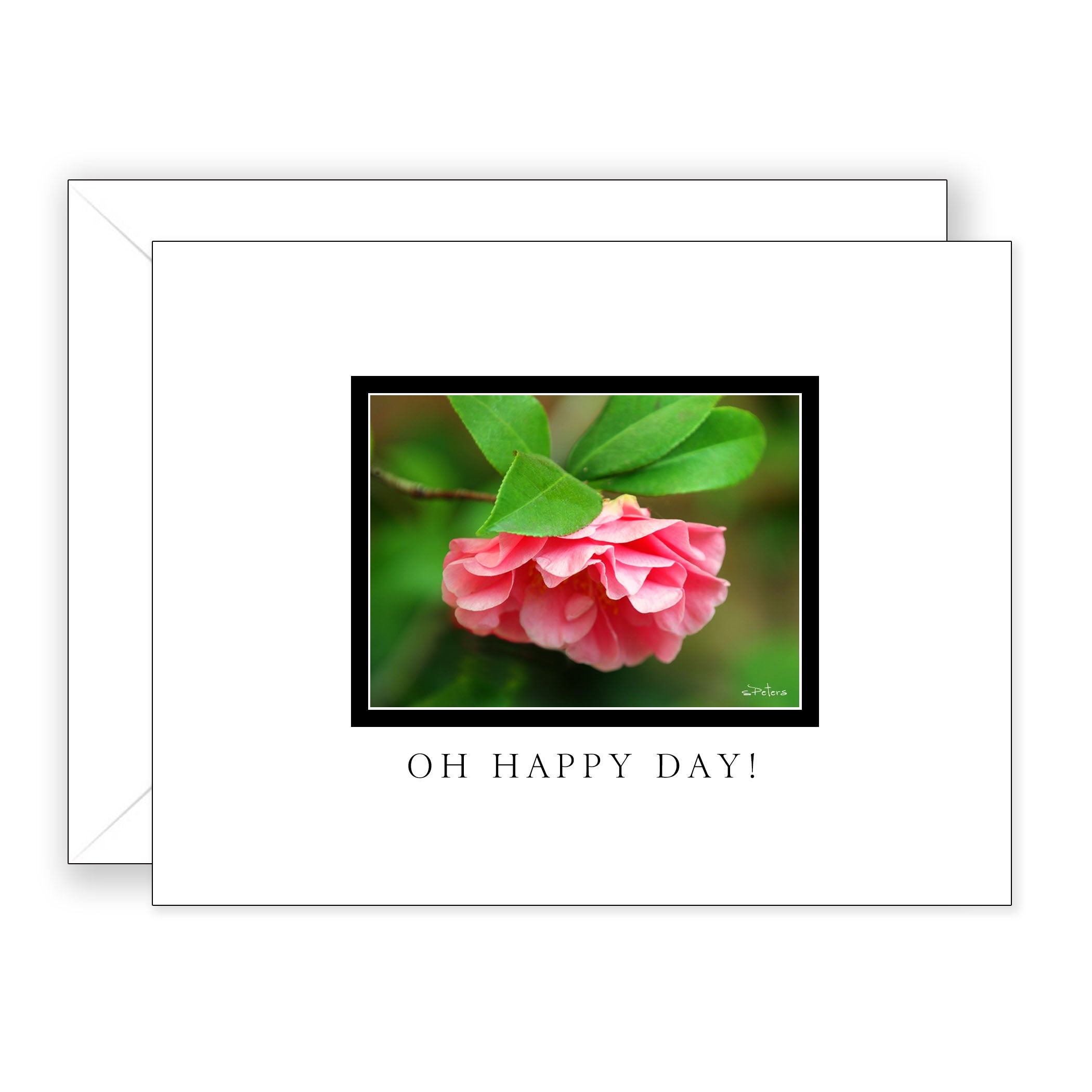 Bradbury Lane Gift Card - Coral Camellia