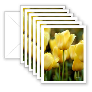 Golden Oxford Tulips Boxed Notecard Collection