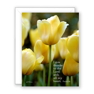 Golden Oxford Tulips (Psalm 9:1) - Encouragement Card (Blank)