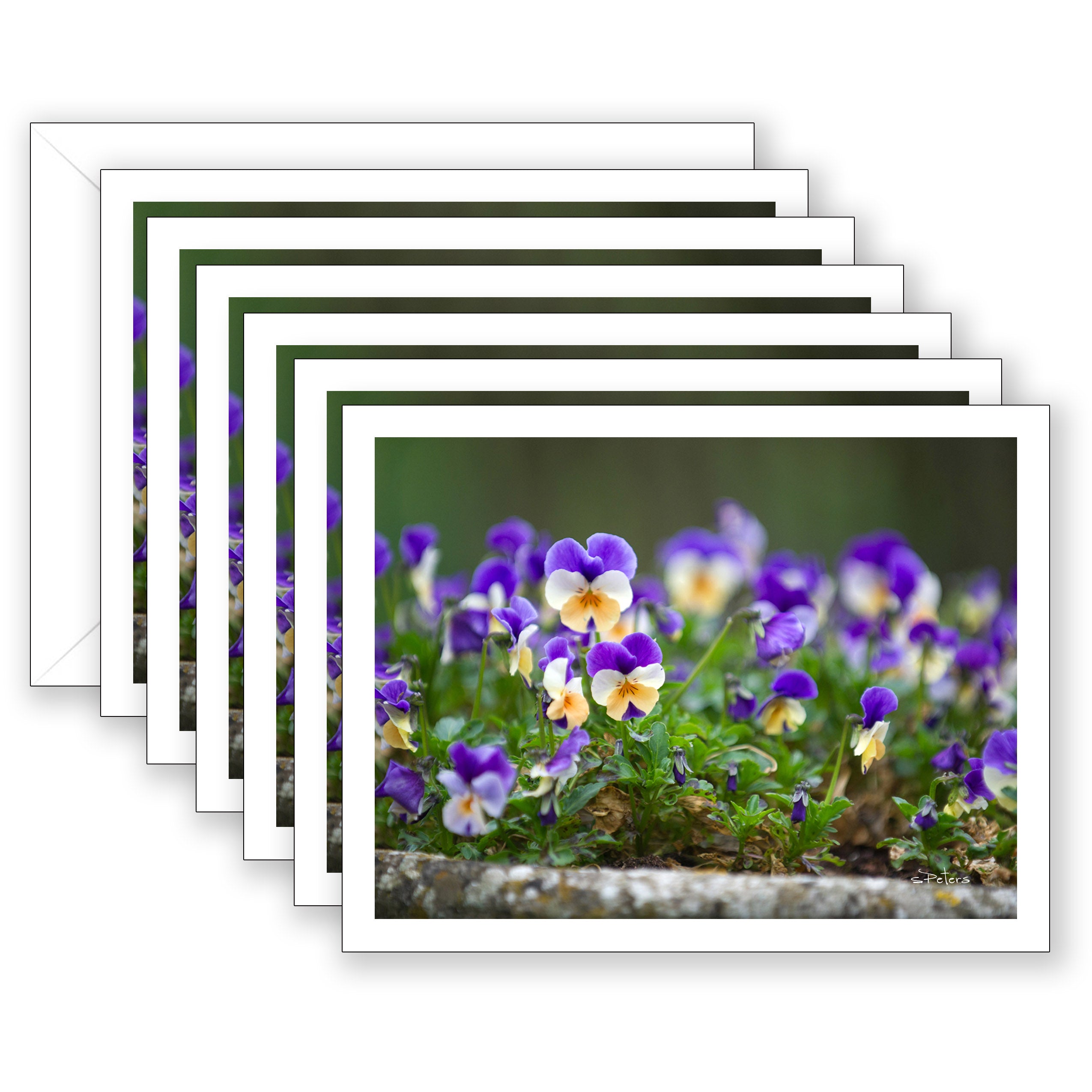 Heart's Delight Boxed Notecard Collection