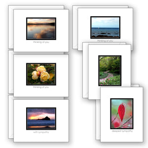 Mini Moments Sympathy - Boxed Notecard Collection