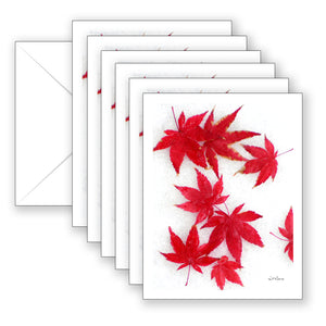 Maple Ice Boxed Notecard Collection