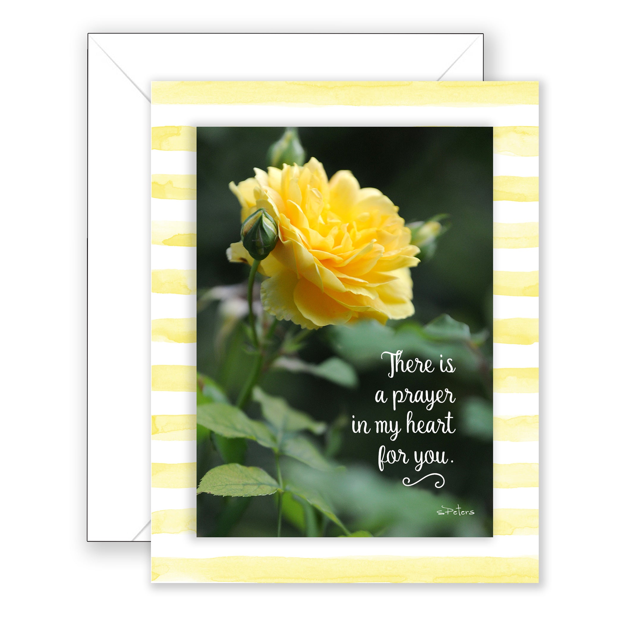 Mayfair - Friendship/Thinking of You Card