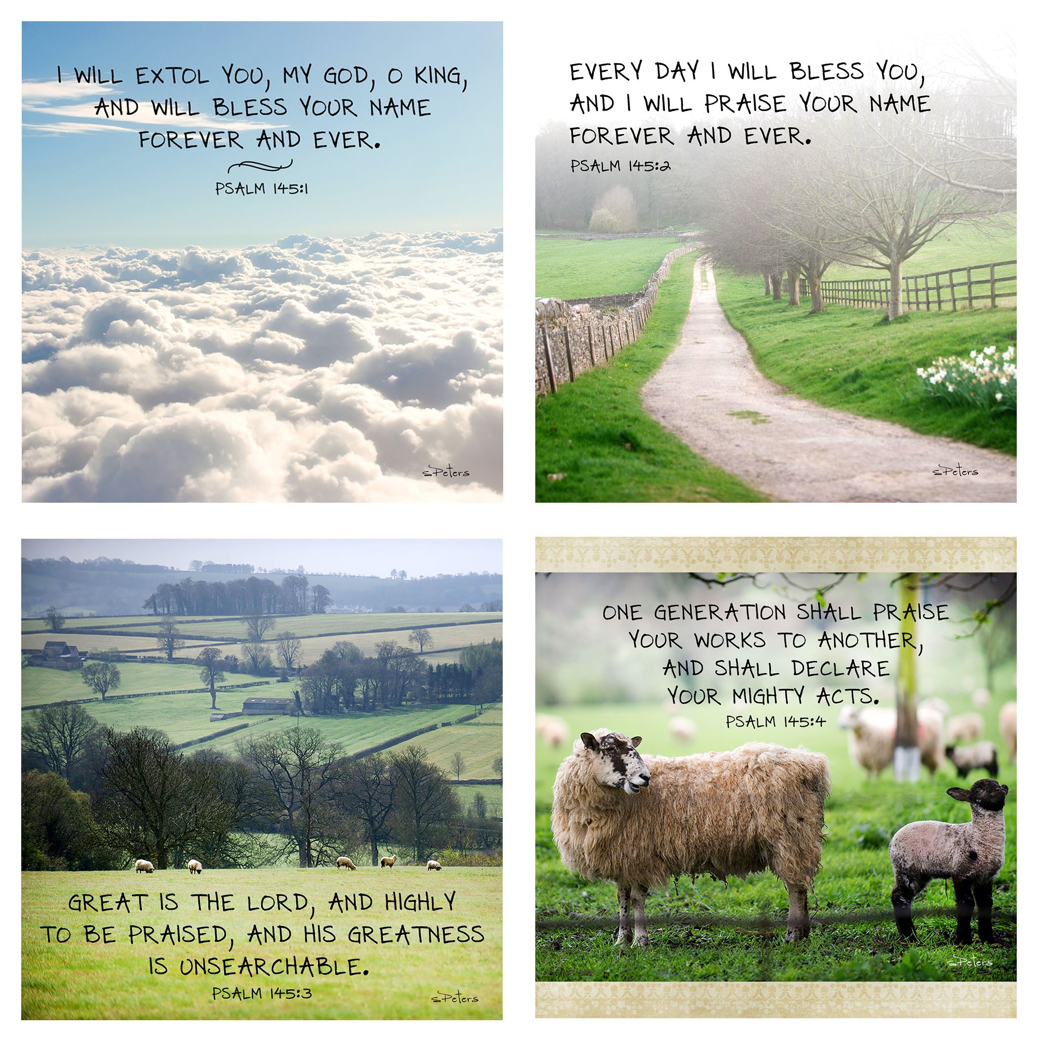 Exol Praise Image Example Extol To Praise Highly
