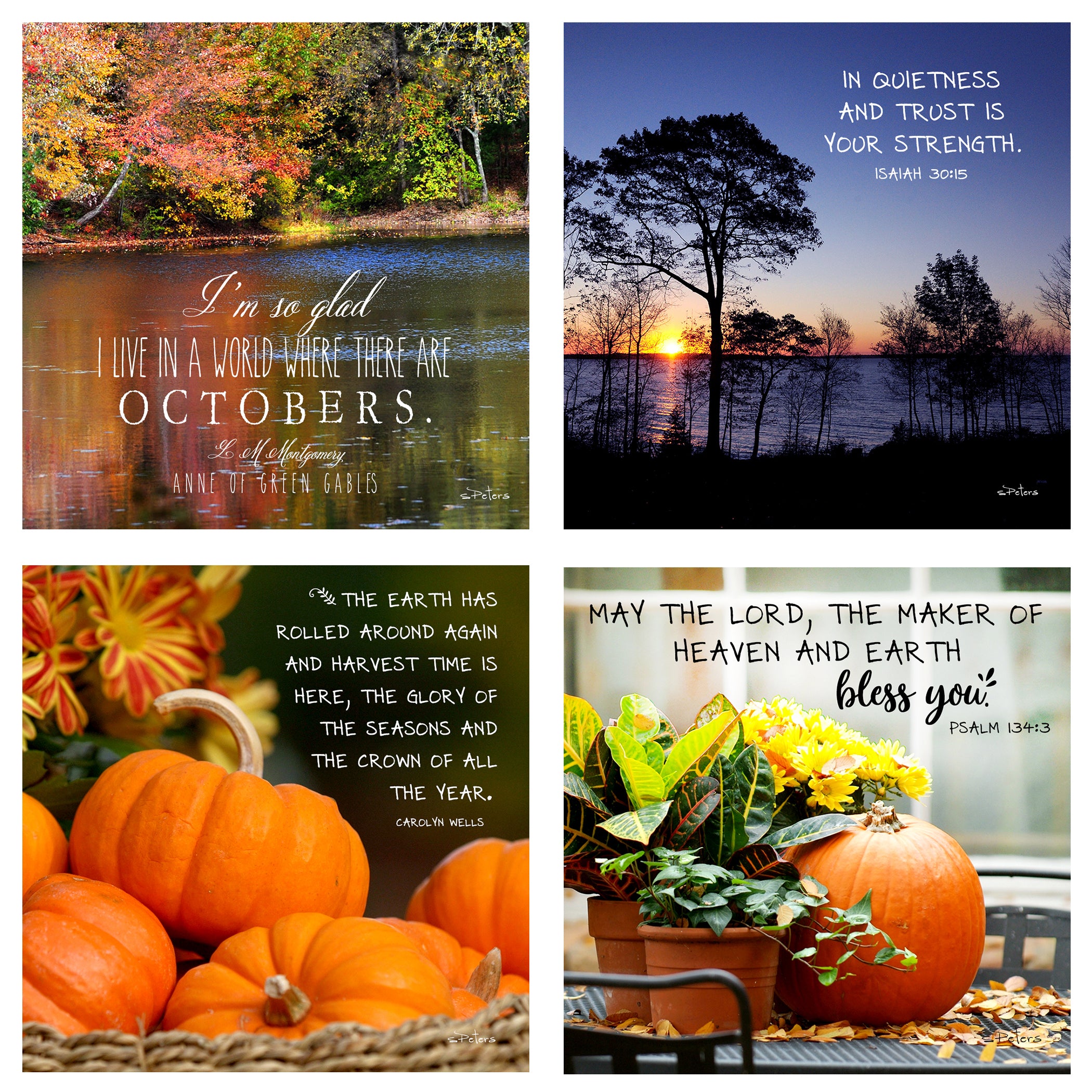 31 Days in October Boxed Mini Print Collection with Acrylic Holder
