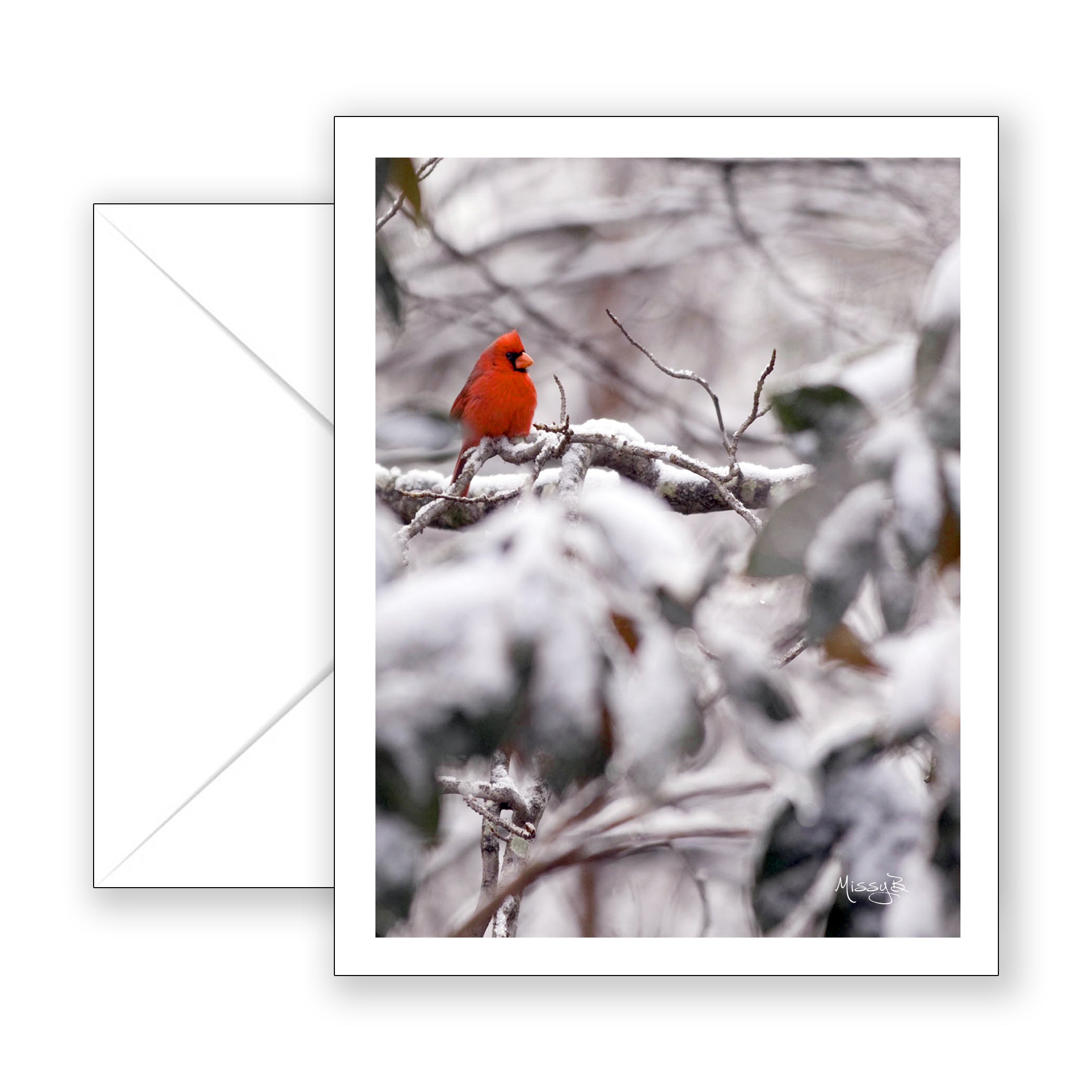 Missy's Red Bird - Blank Art Card