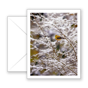 Missy's Yellow Bird - Blank Art Card