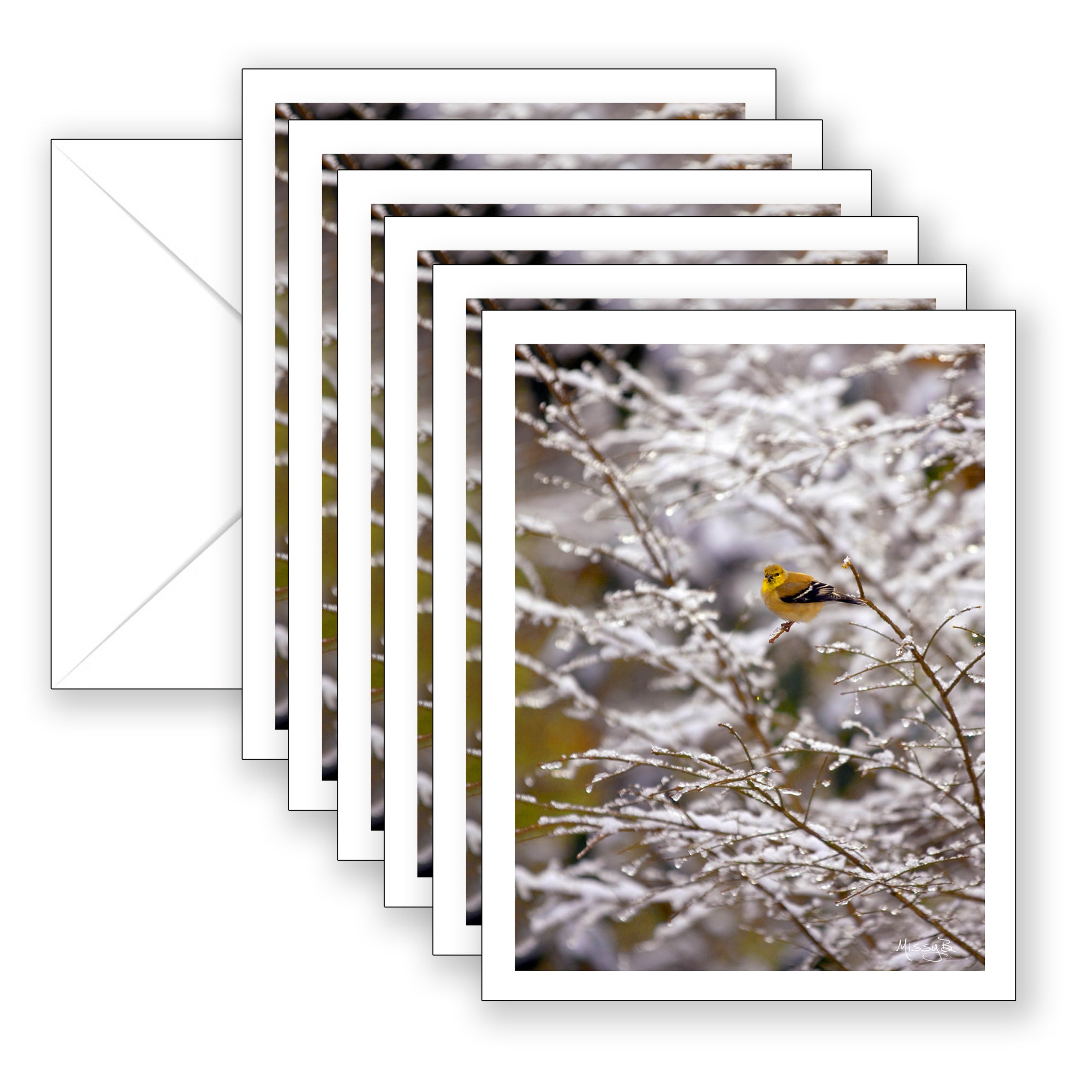 Missy's Yellow Bird Boxed Notecard Collection