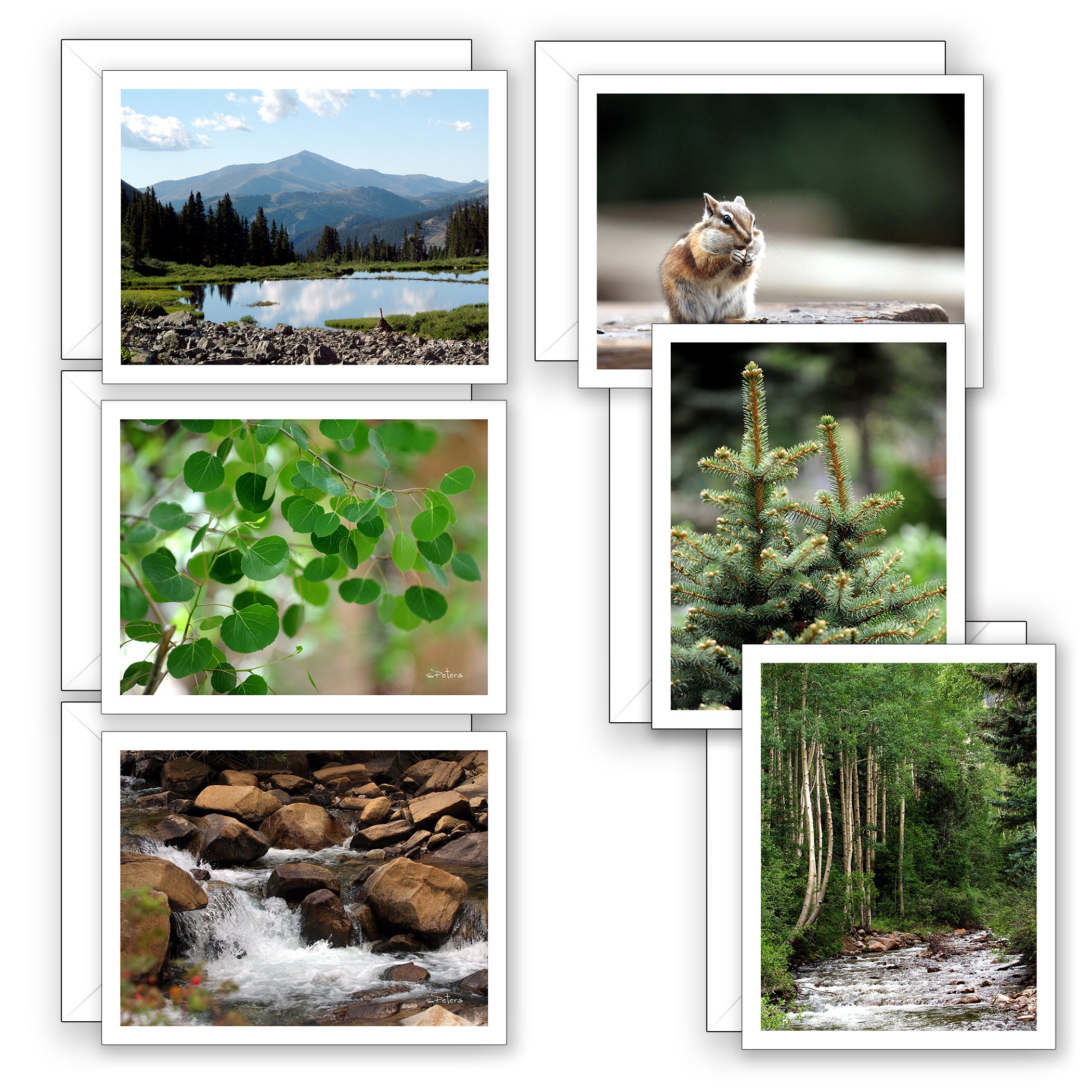 Mountain Moments Boxed Notecard Collection