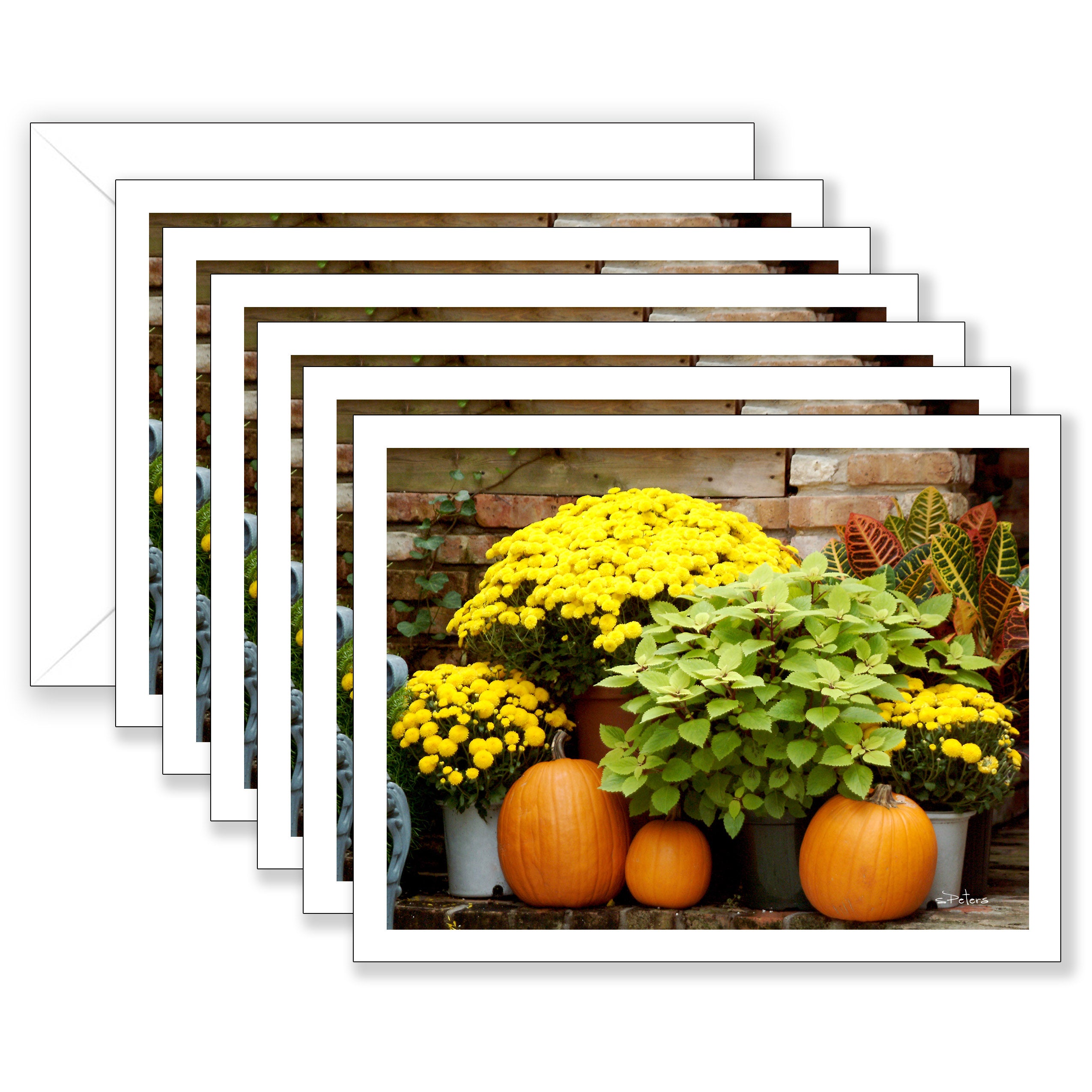 Mums and Pumpkins Boxed Notecard Collection