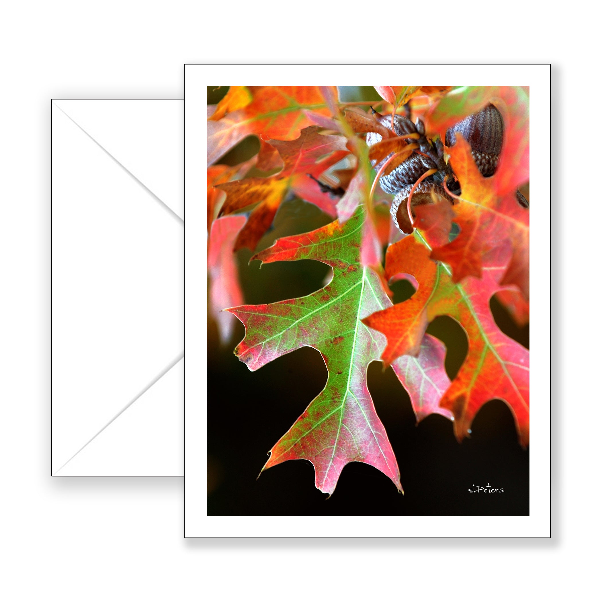 Oak Leaf in Autumn - Blank Art Card