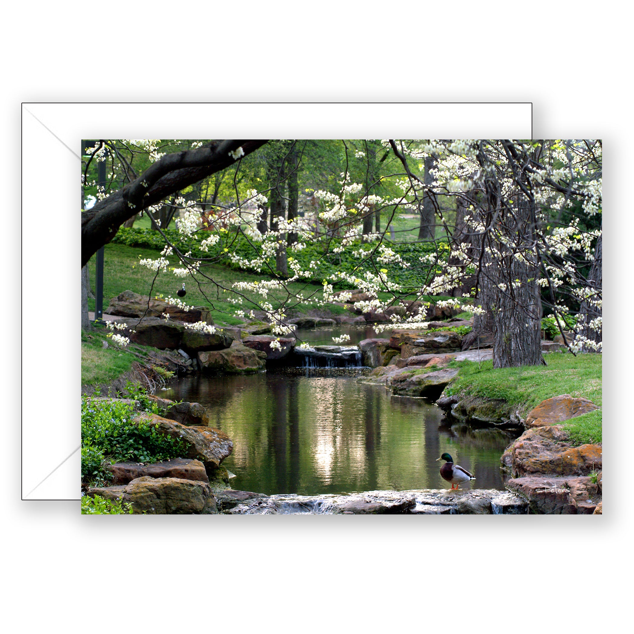 Peaceful Pond (Psalm 23: 1-2) - Sympathy Card