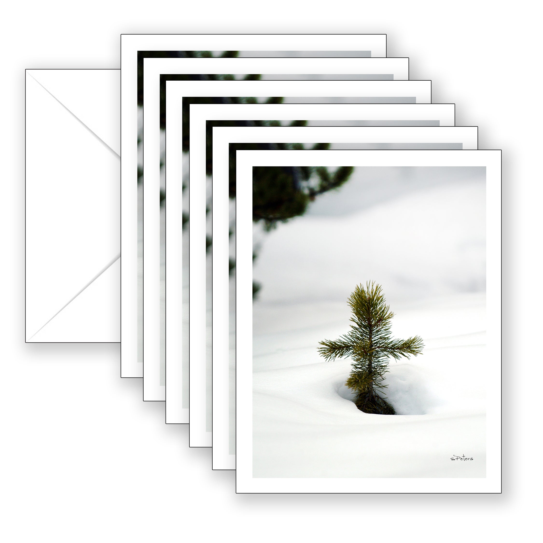 Pine Cross Boxed Notecard Collection