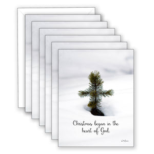 Pine Cross - Boxed Christmas Card Collection