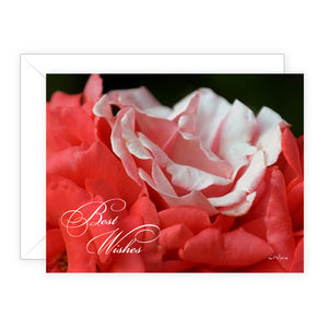 Pink Coral - Wedding & Anniversary Notecard
