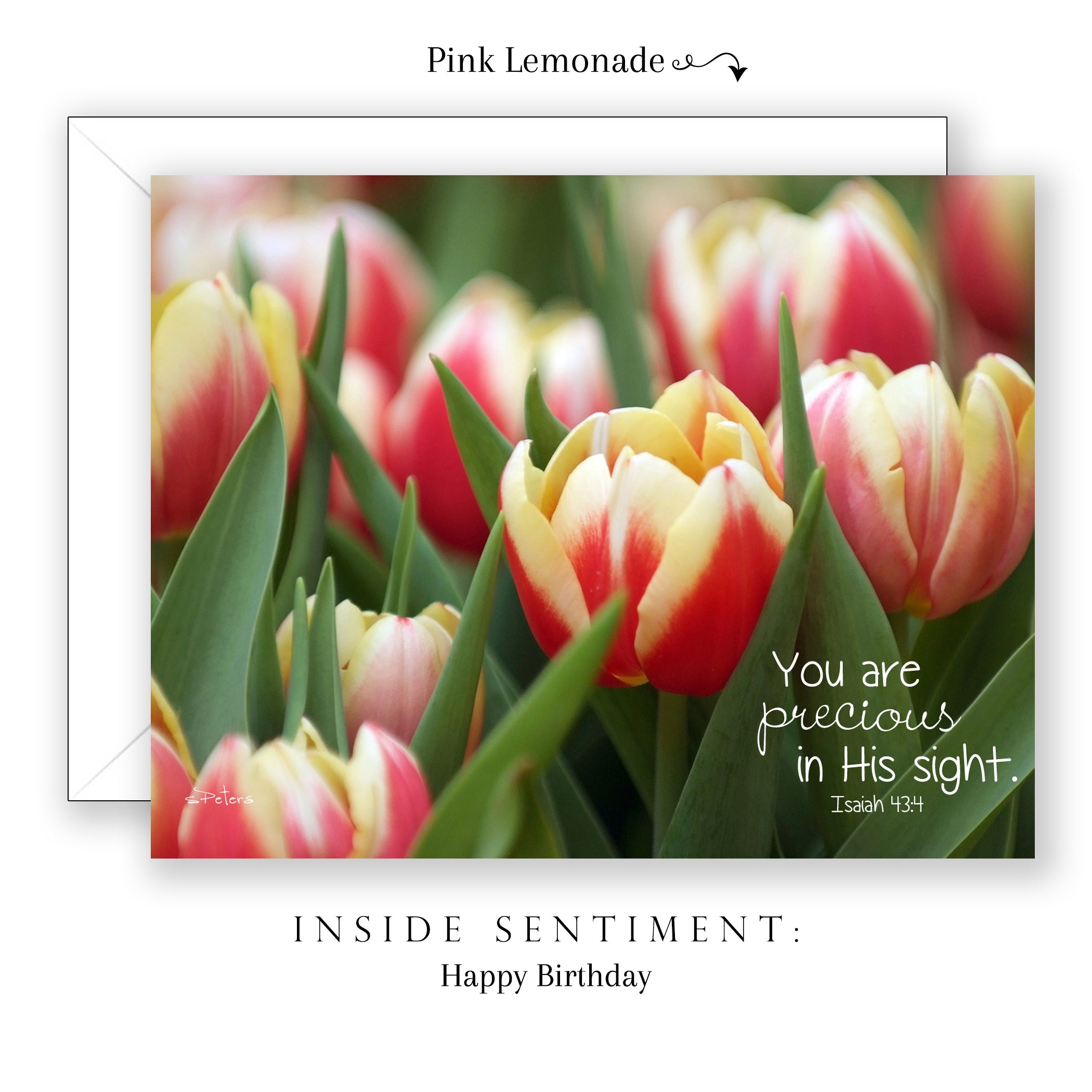 Birthday Blessings Boxed Notecard Collection