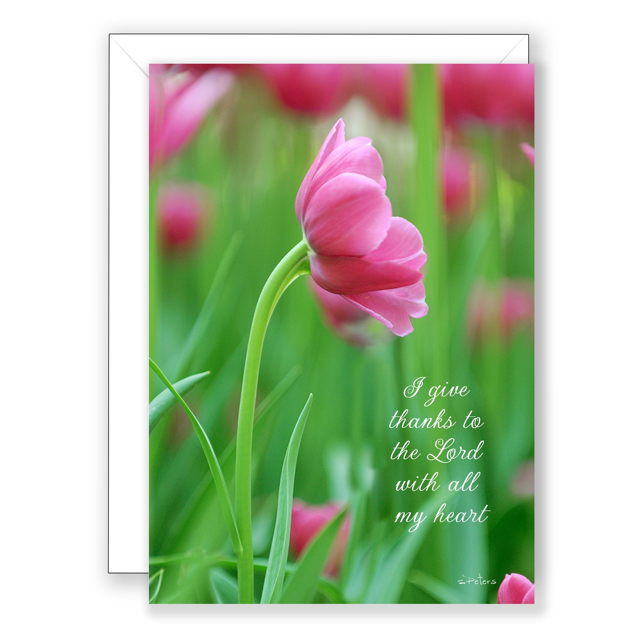 Pink Promise - Mother's Day Card