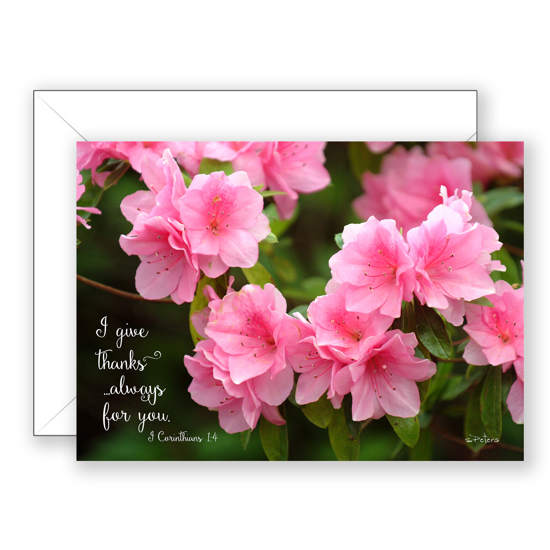 Pink Ruffles (I corinthians 1:4) - Valentines Day Card