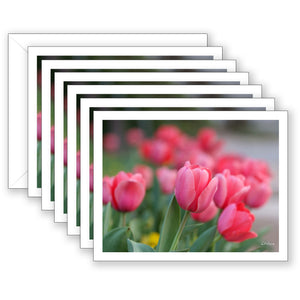 Pretty in Pink Boxed Notecard Collection