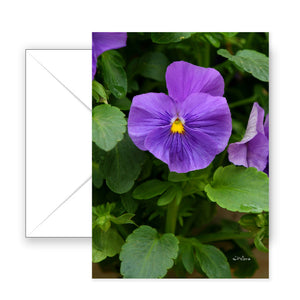 Pretty in Purple - Blank Art Card