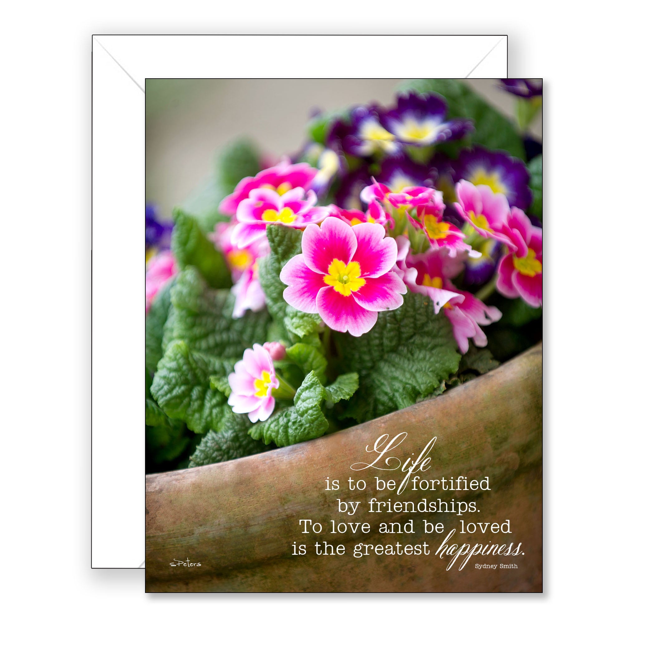 Primrose Pot - Valentines Day Card