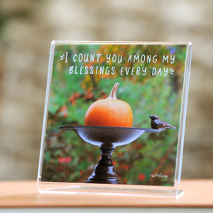 Pumpkin Birdbath - Framed Mini Print