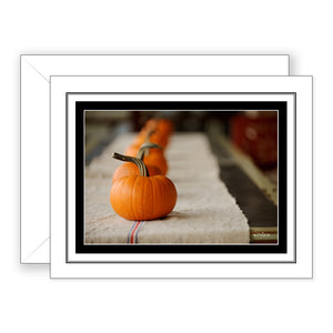 Pumpkin Line Up - Blank Art Card