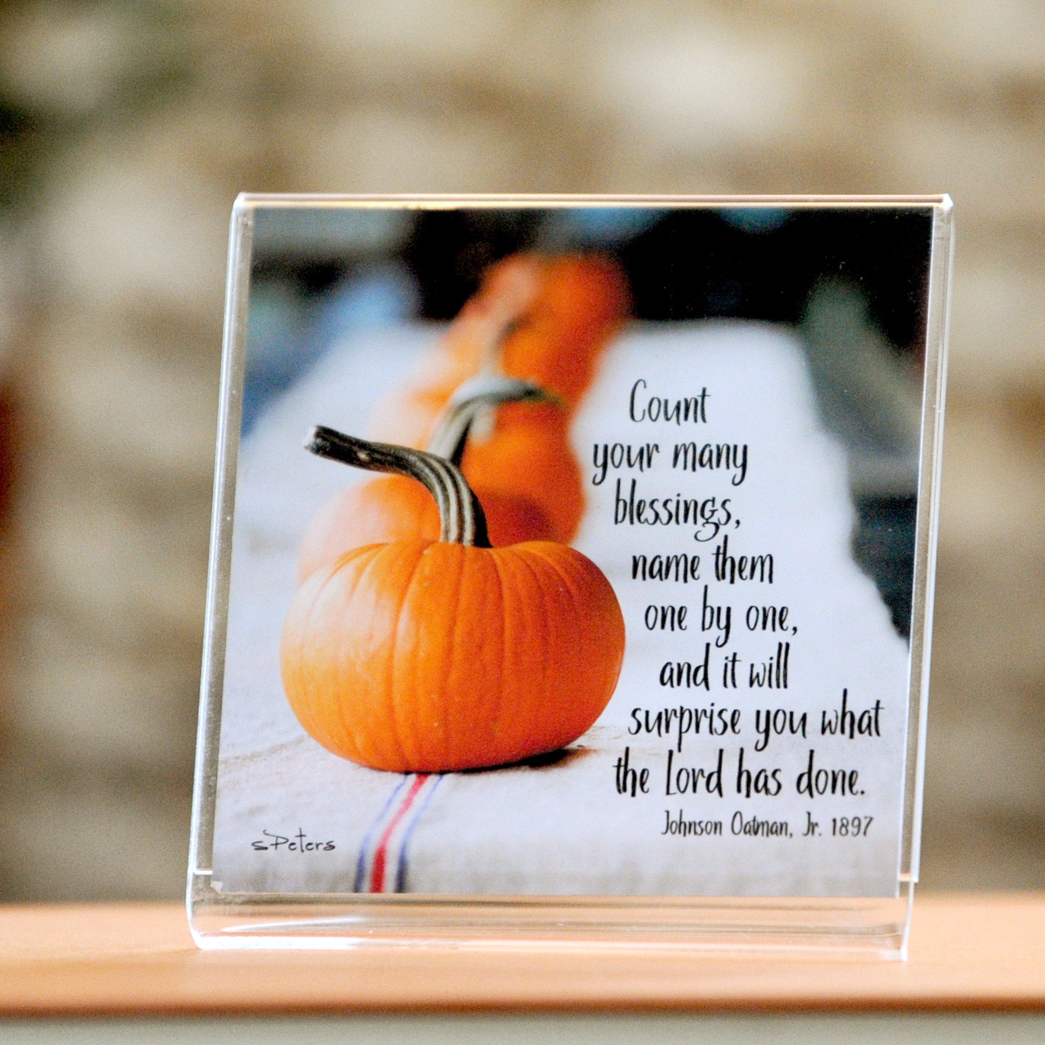 Pumpkin Lineup - Framed Mini Print