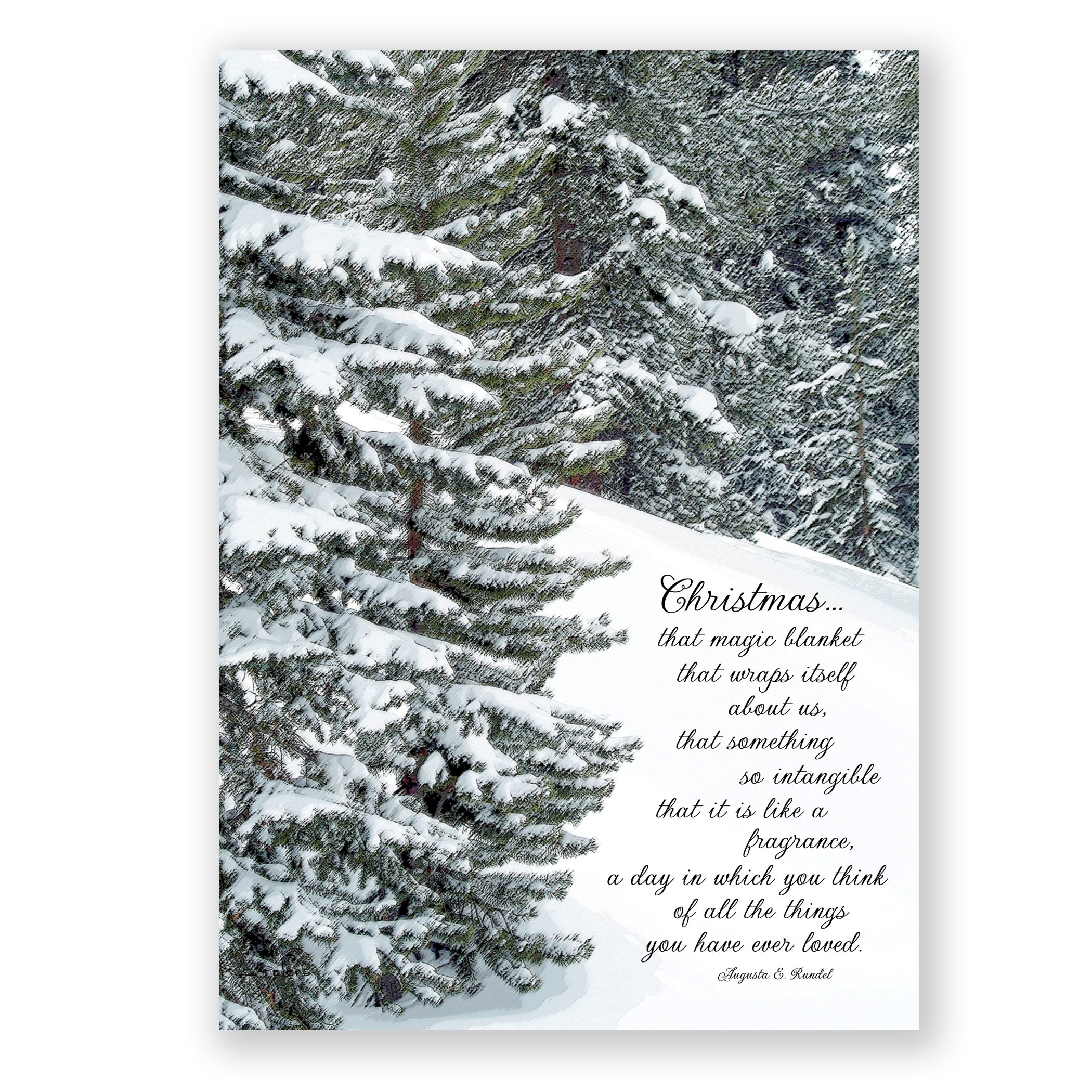 Snowy Pines Christmas - Print